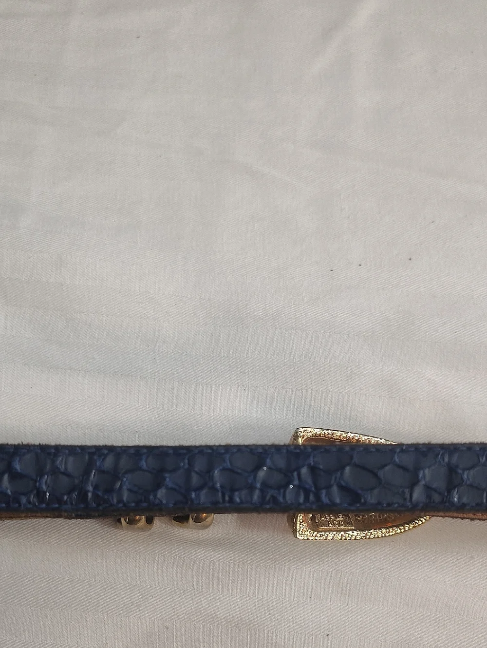 Apple Blue Vintage Snake-Embossed Leather Belt with Gold Buckle